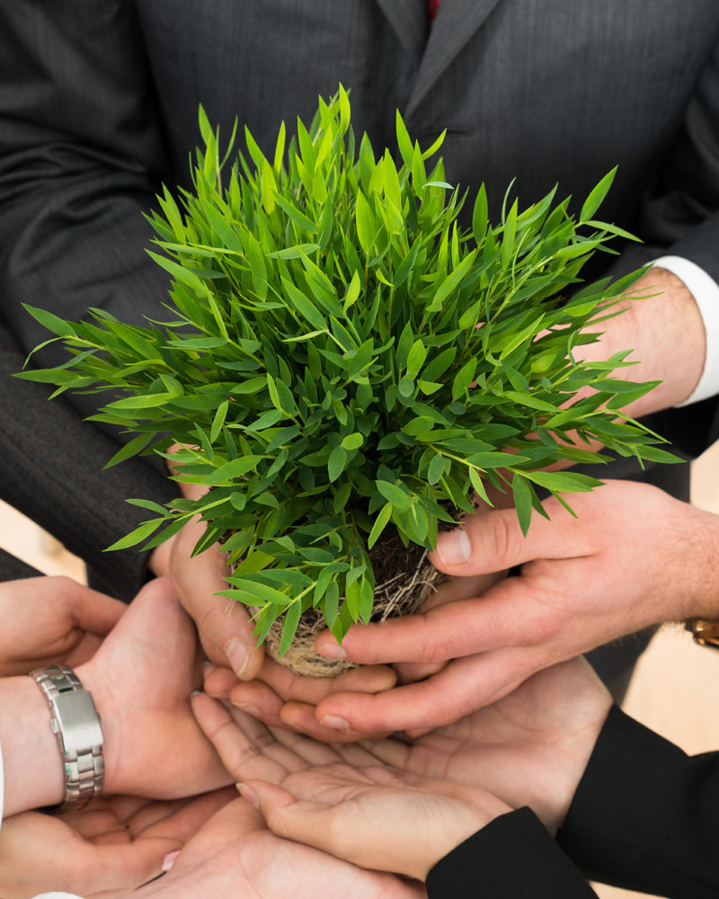 Suspendisse imperdiet Cursus nisi Maecenas