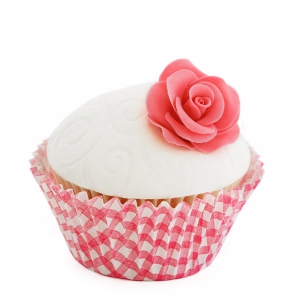 Lorem ipsum dolor sit