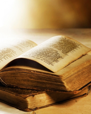 Aliquam lacinia ante quis