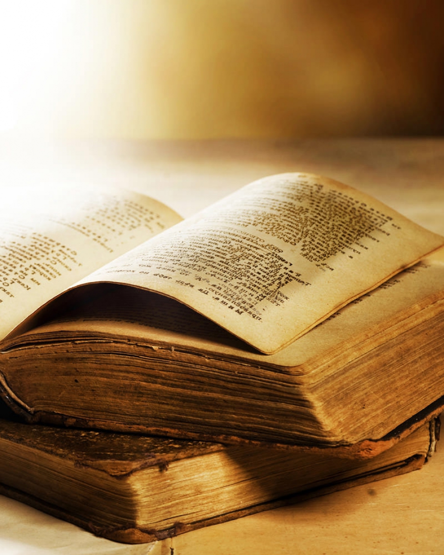 Aliquam lacinia ante quis