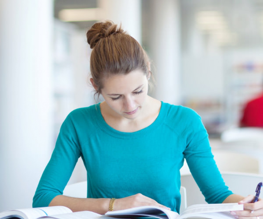 Nullam turpis Cras dapibus orci rutrum.