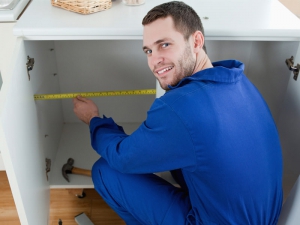 Suspendisse sit amet