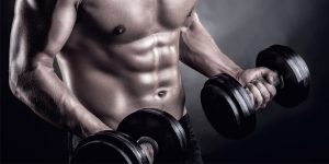 Aliquam ornare hendrerit