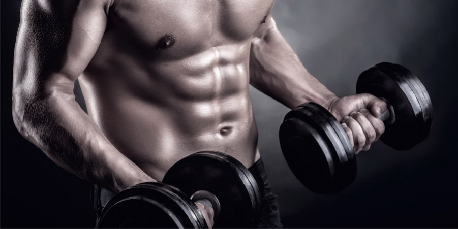 Aliquam ornare hendrerit