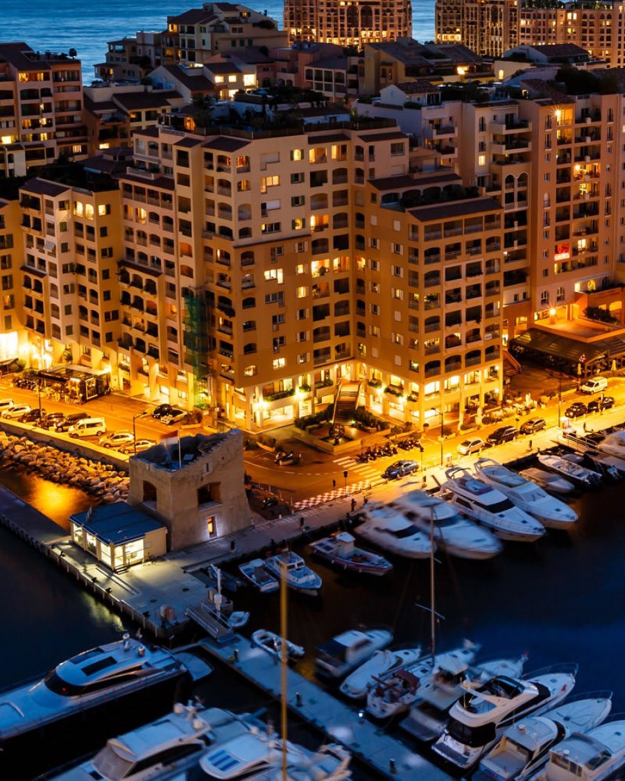 Praesent mattis commodo.