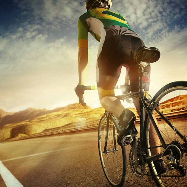 volutpat turpis quam tortor